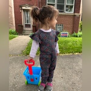 Tea Collection overalls size 2T